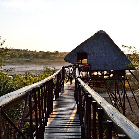 Bona Ngwenya Lodge & Safaris Marloth Park Kültér fotó