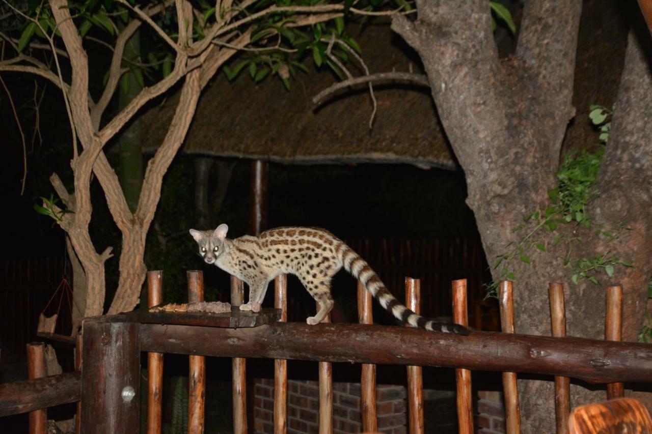 Bona Ngwenya Lodge & Safaris Marloth Park Kültér fotó